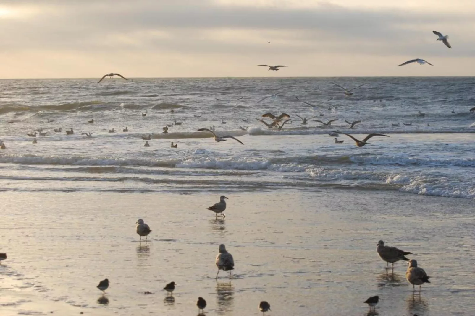 Bohemien 38-Gebieden zomer 5km