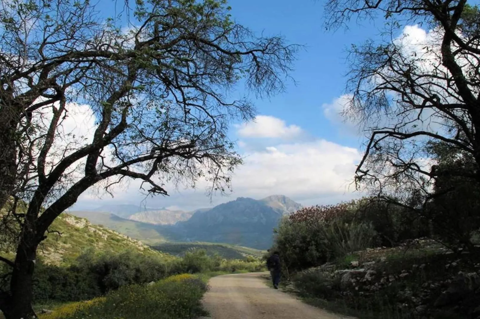 Cerro de la Cruz-Gebieden zomer 20km