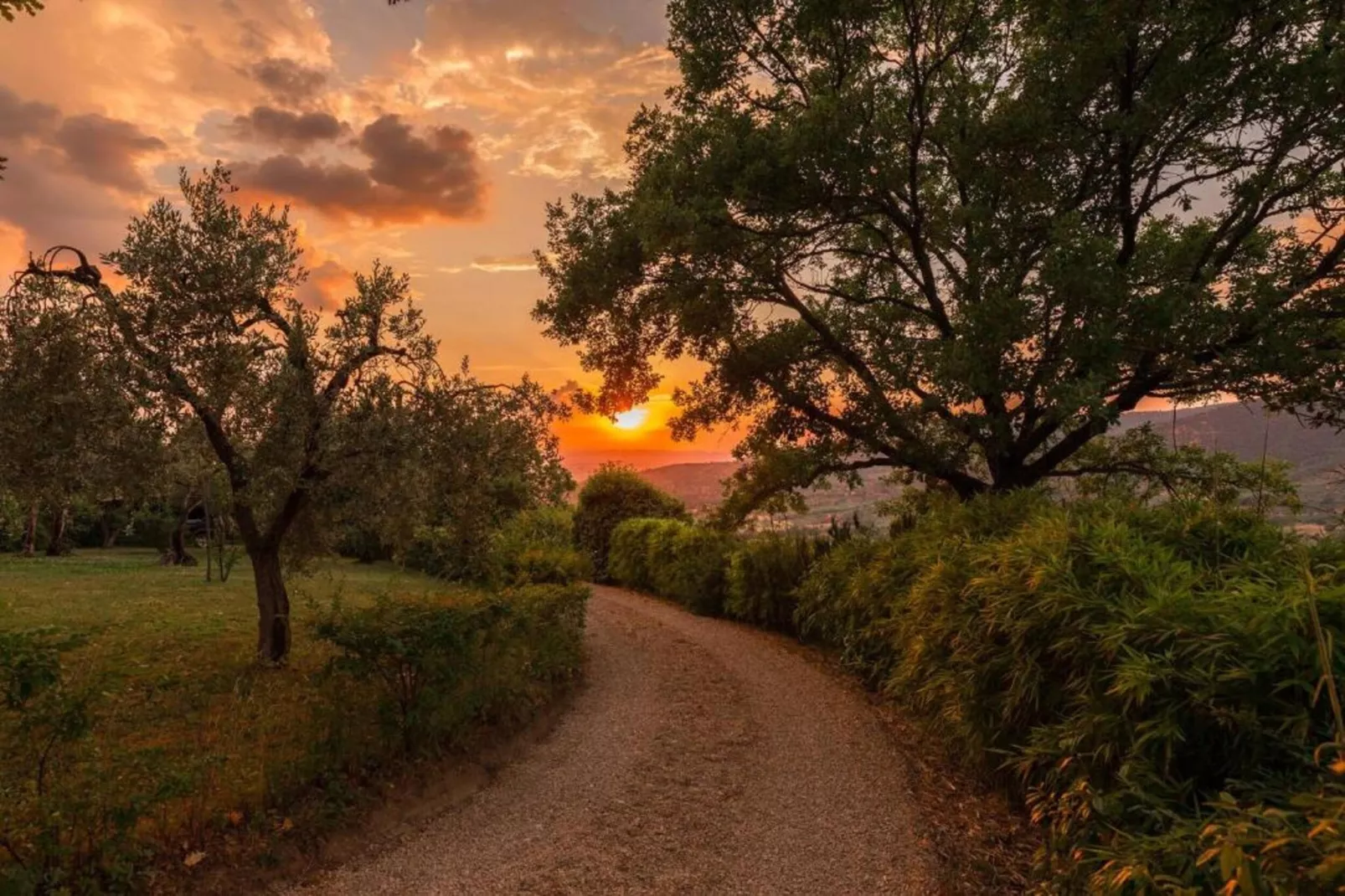 Villa il Gelso-Gebieden zomer 5km