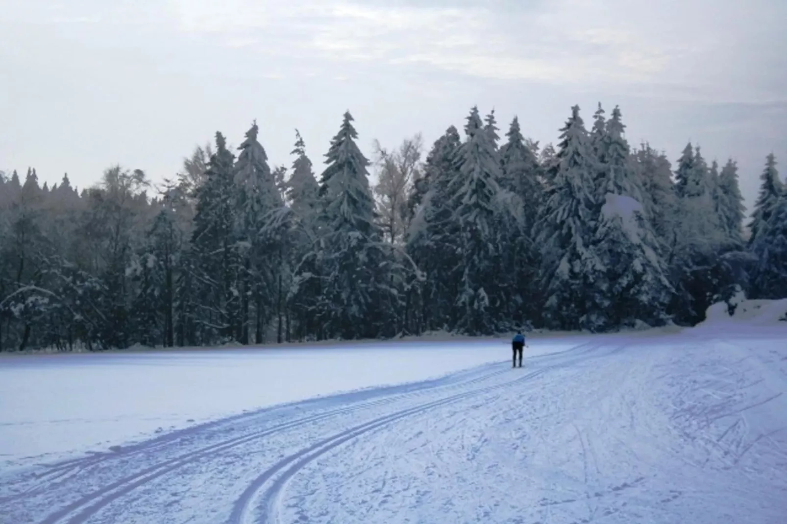 Zum wilden Jakob-Gebied winter 20km