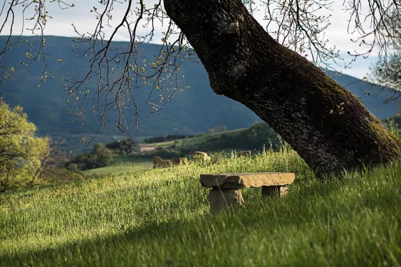 Villa Paradiso 25-Gebieden zomer 20km