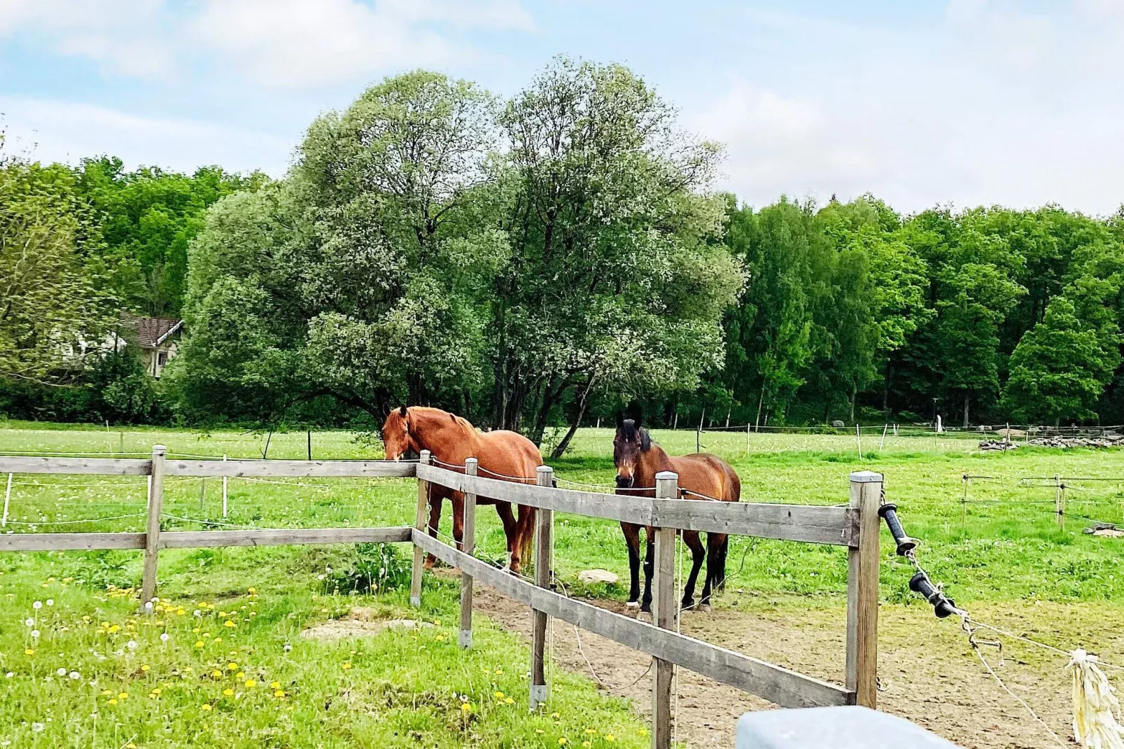 4 persoons vakantie huis in ALLINGSÅS, SVERIGE-Niet-getagd