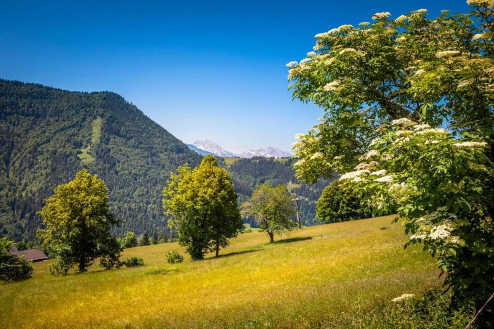 Doppelzimmer 5 - LOU in Saalfelden-Pinzgau-Gebieden zomer 20km