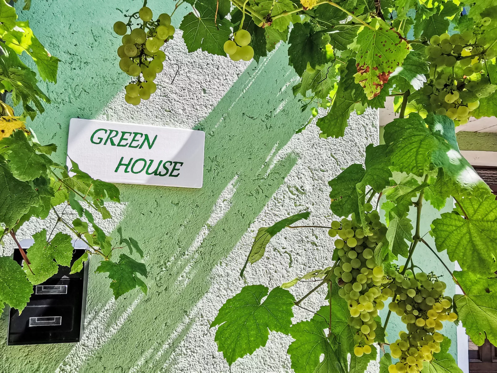 Green House-Buiten