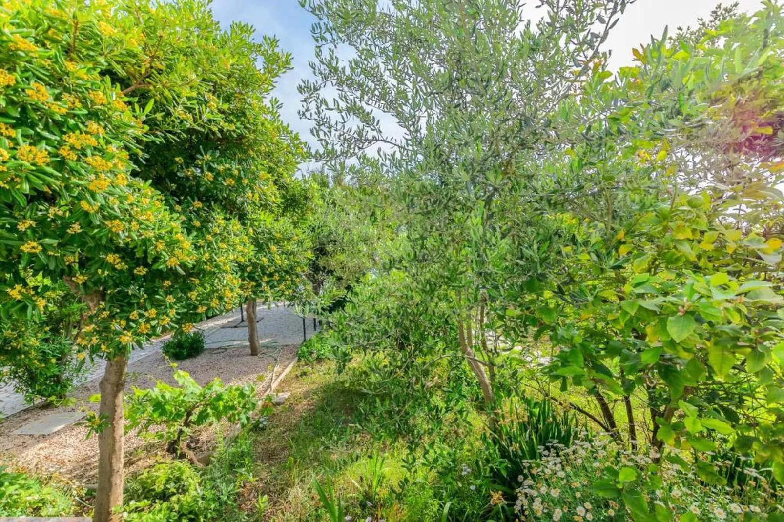 Apartments Jurica - Studio with Sea View-Gebieden zomer 20km