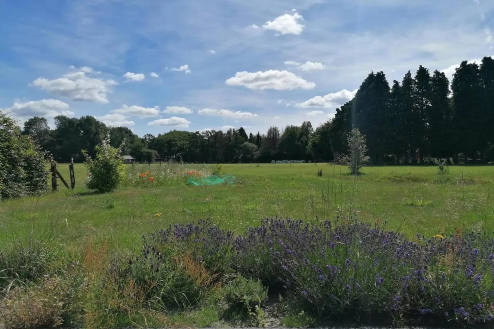 Heivlinder Comfort 4+2p-Gebieden zomer 5km