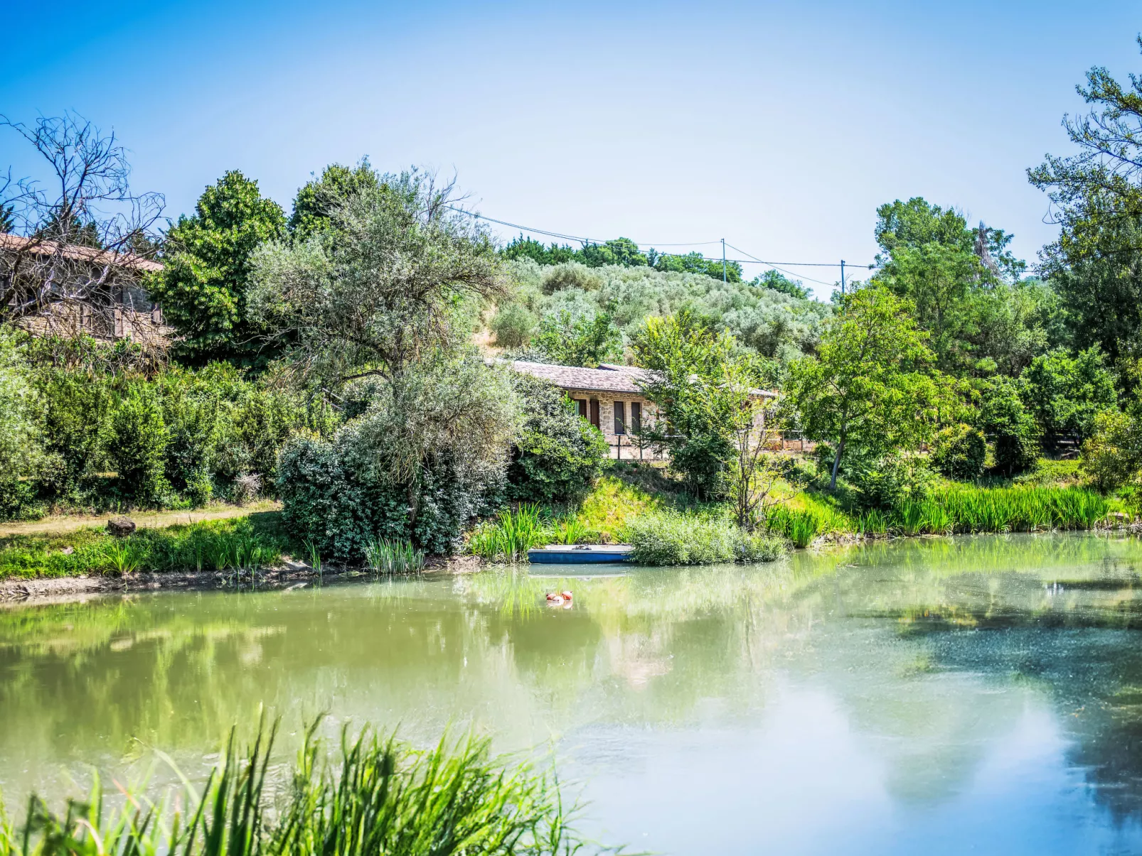 Giuncheto Casale-Buiten