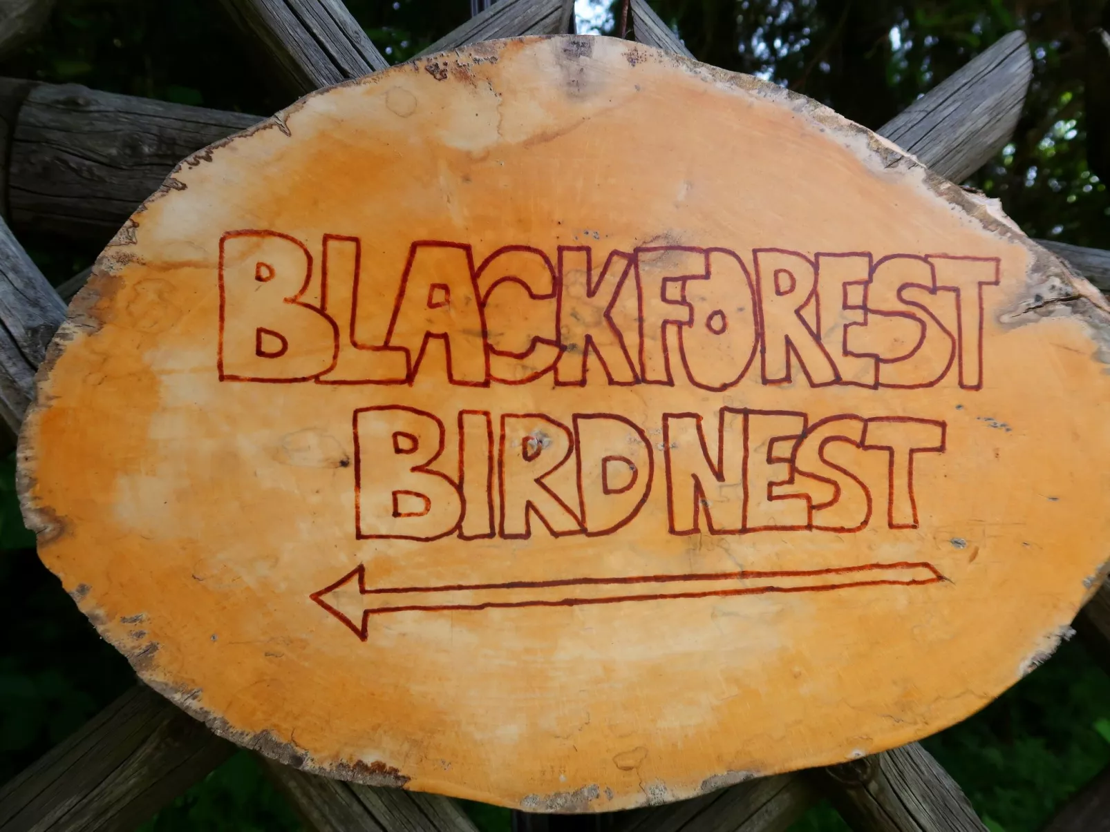 Blackforest Birdnest-Buiten