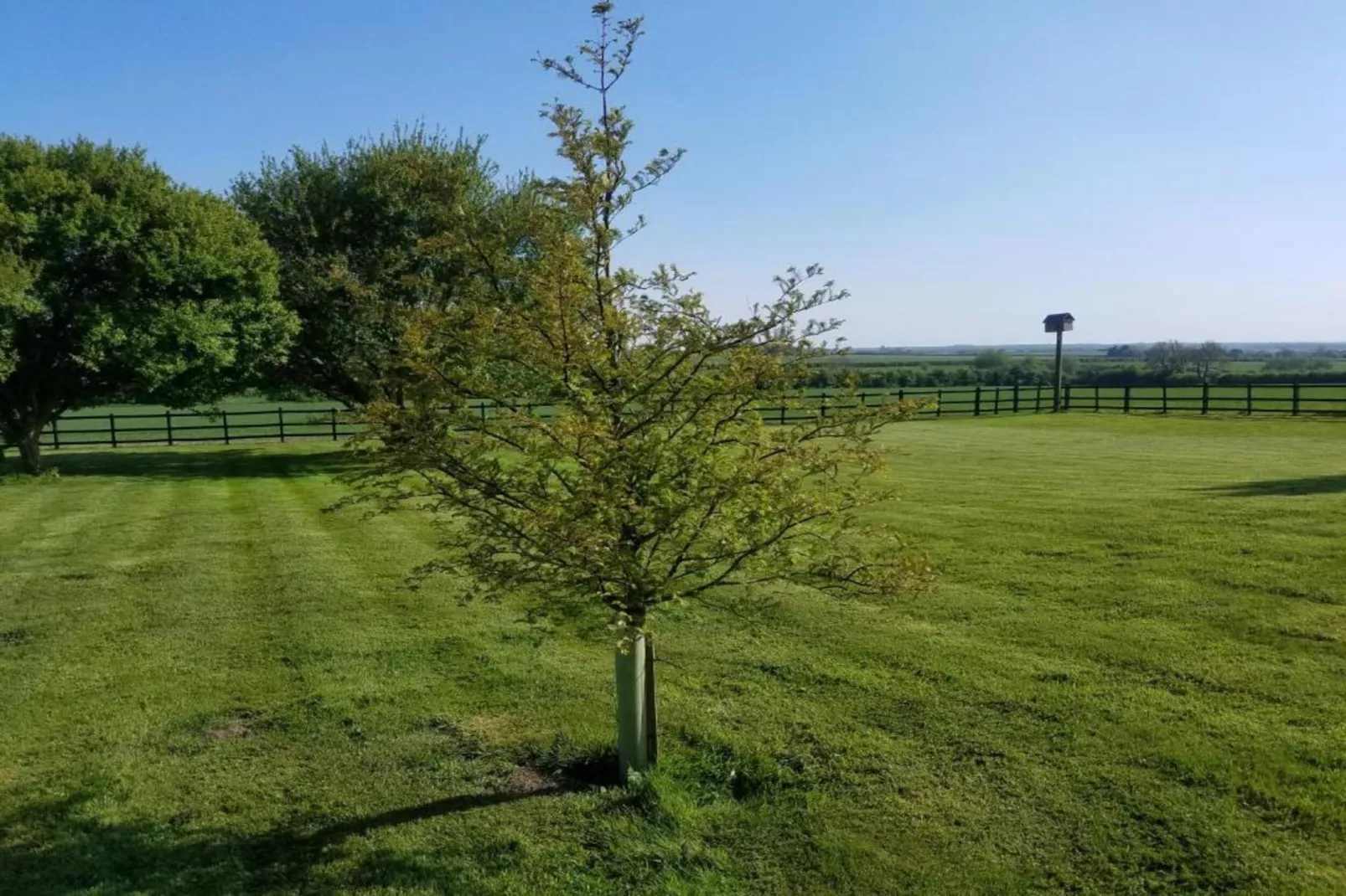 Longwool View-Gebieden zomer 20km