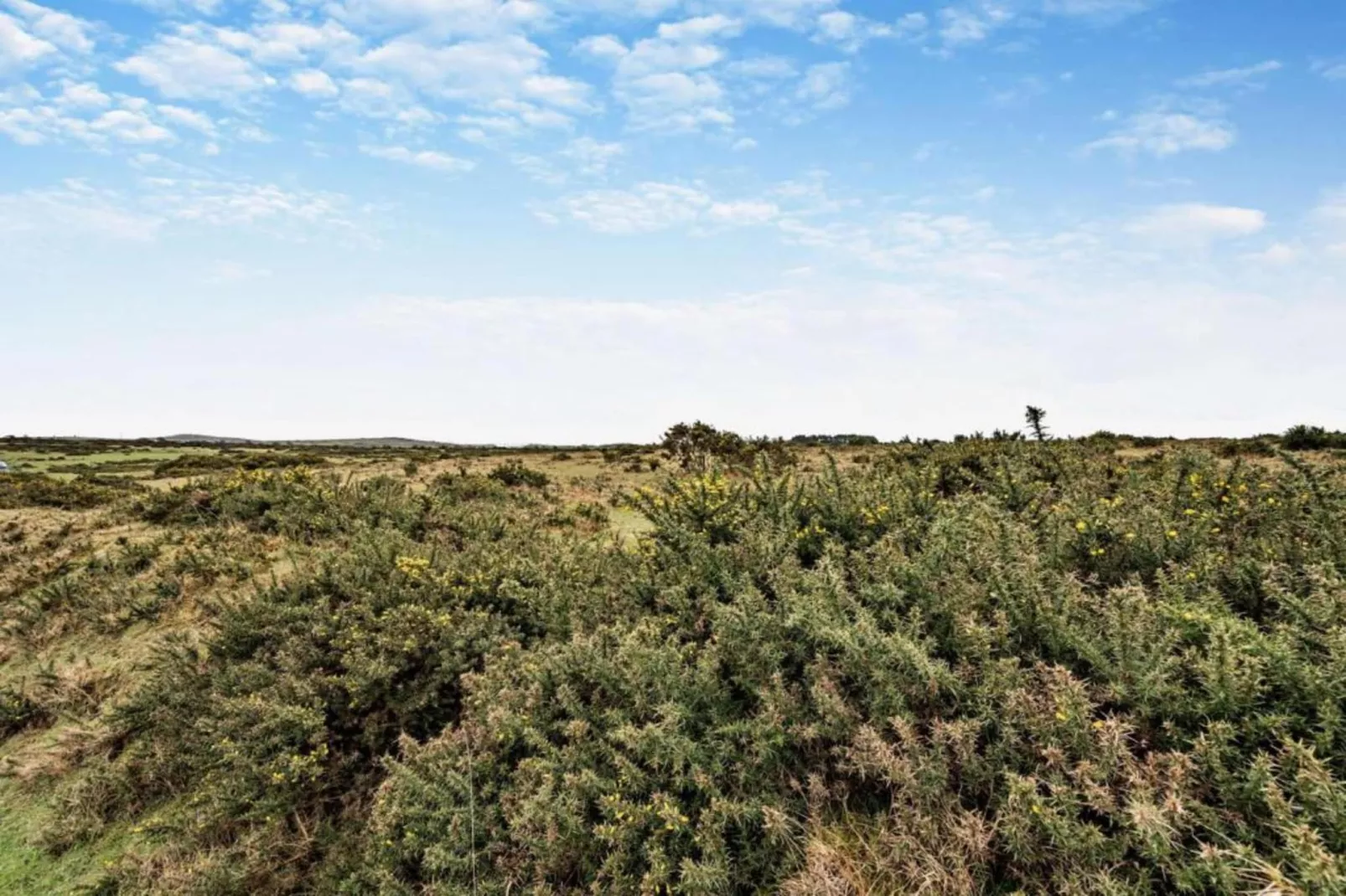 Jubilee Barn Cottage at Bodmin Moor-Gebieden zomer 5km