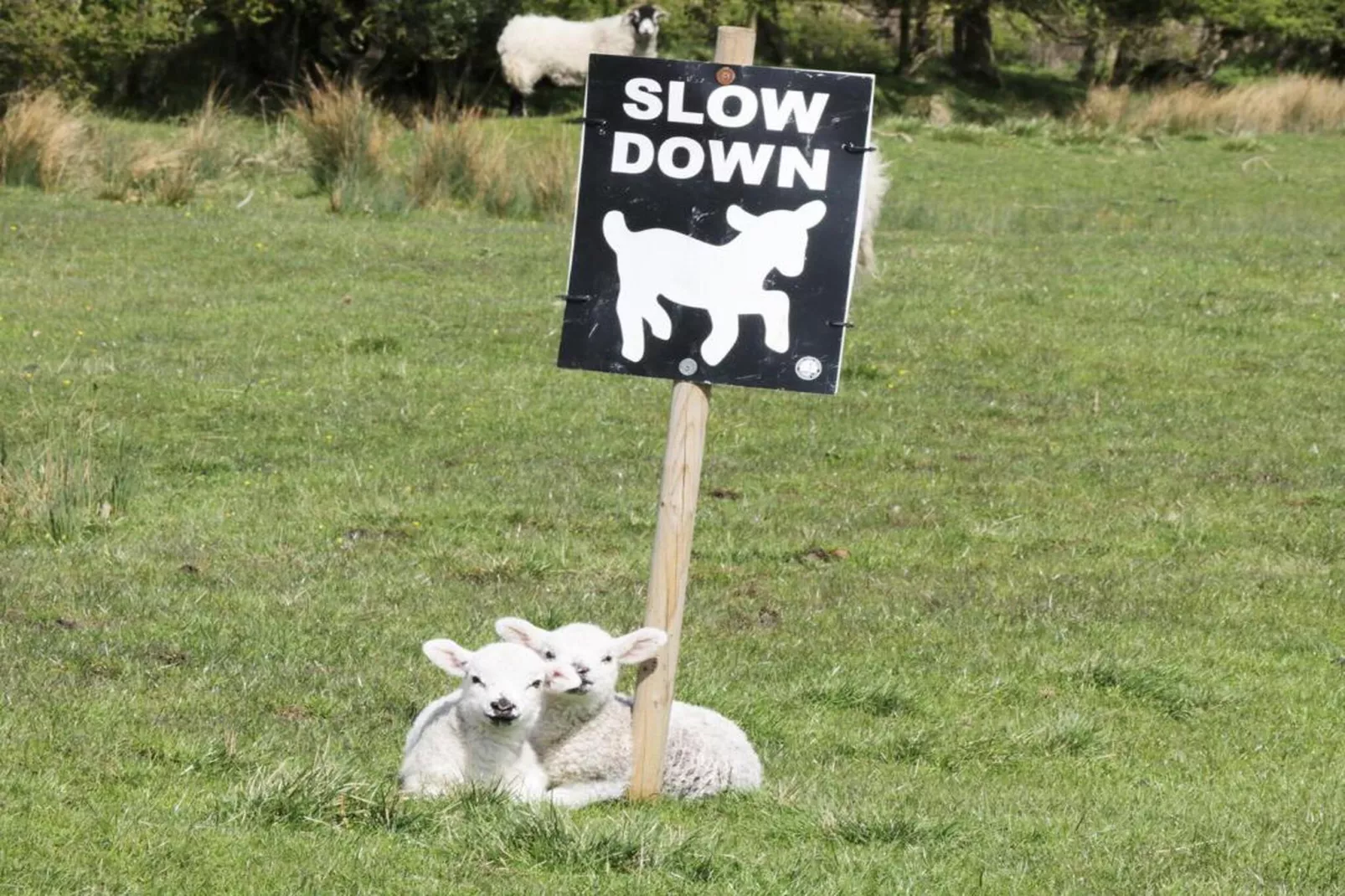 Pennine Hall Apt-Gebieden zomer 20km