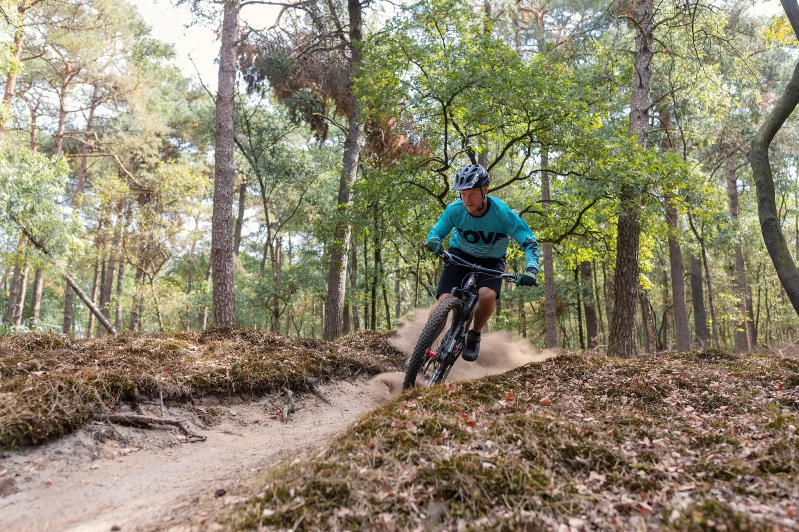 Zwanemeerbos Lifestyle-Gebieden zomer 1km