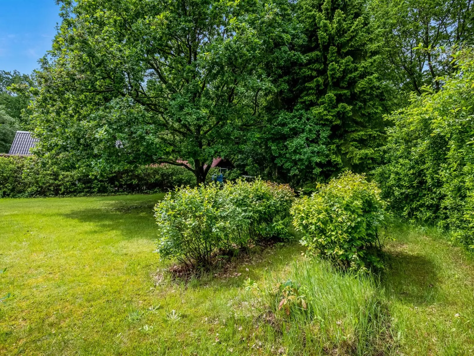 "Sibbe"-Buiten