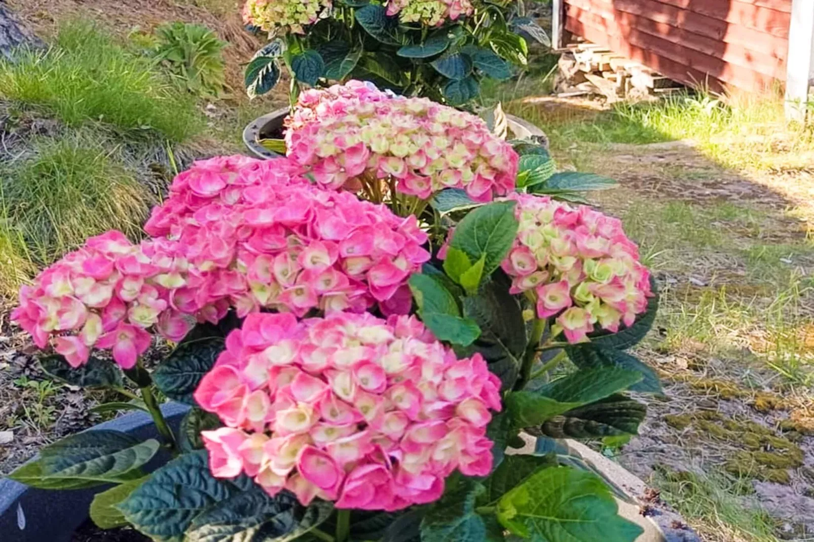 5 Personen vakantie huis in INGARÖ-Buitenlucht