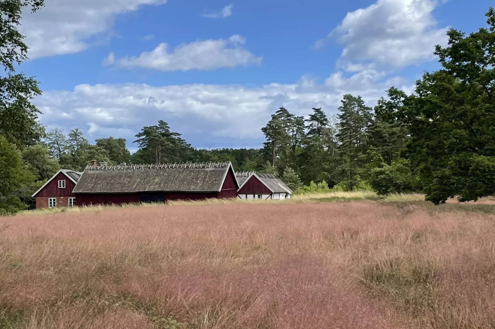 4 sterren vakantie huis in DEGEBERGA-Buitenlucht