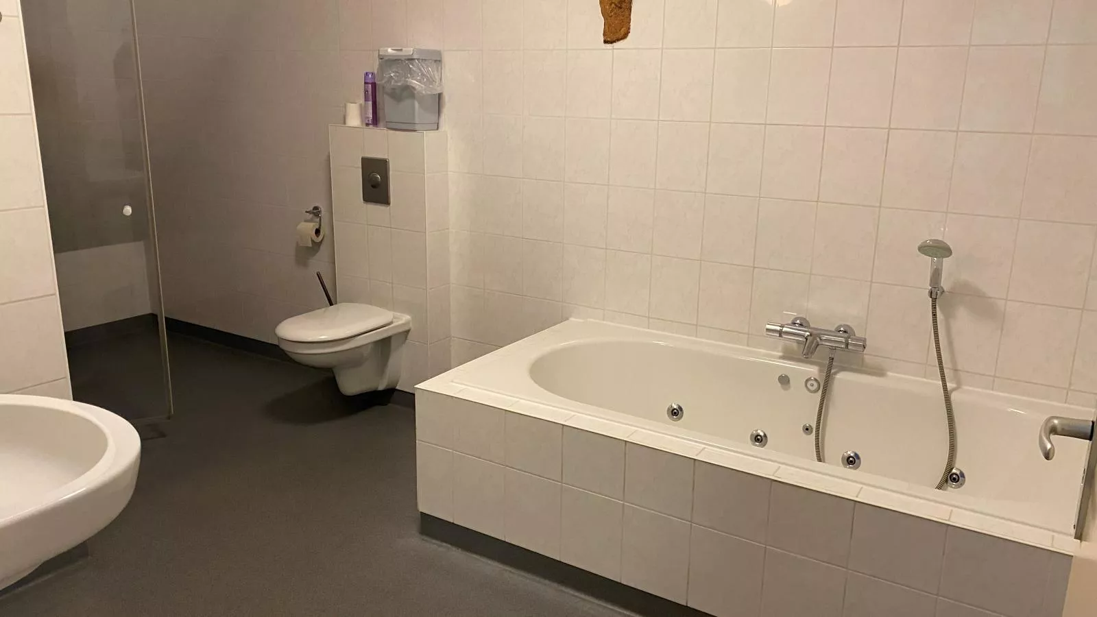 Groep in Friesland-Badkamer