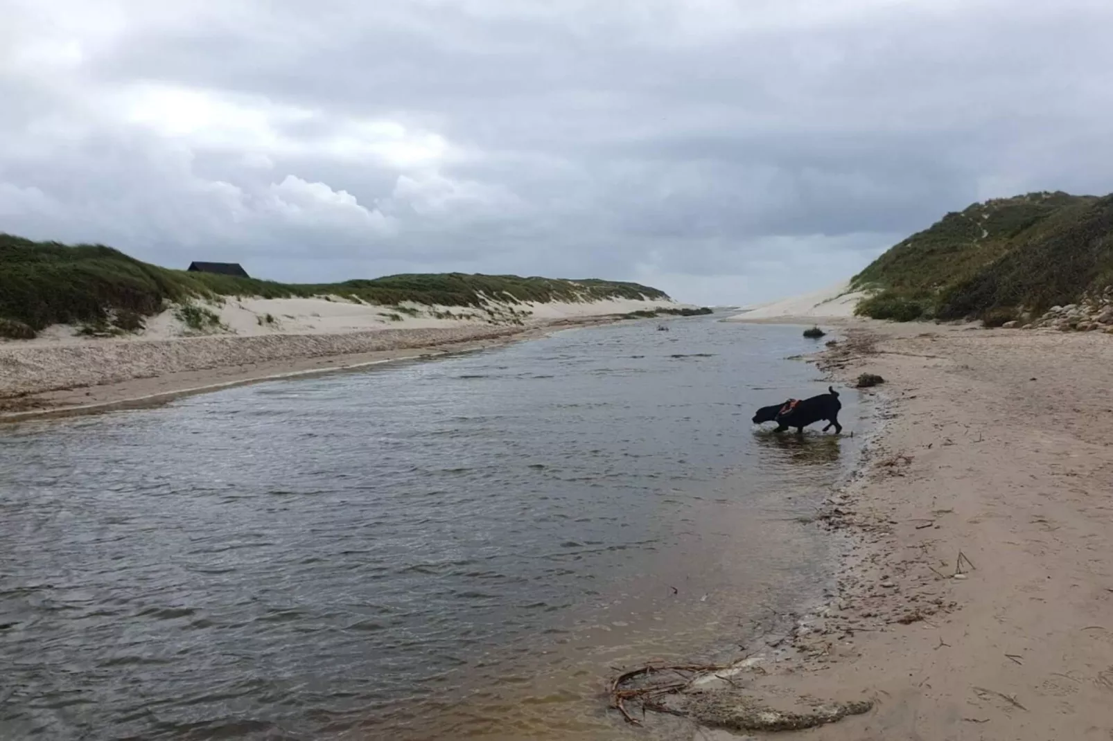 8 persoons vakantie huis in Blåvand-Waterzicht