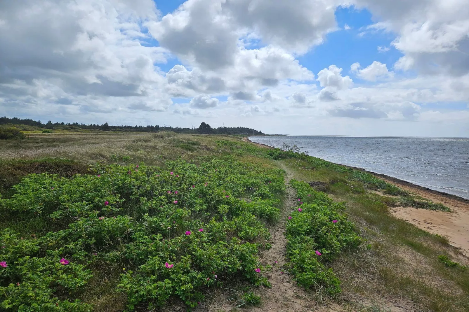 6 persoons vakantie huis in Hemmet-Waterzicht