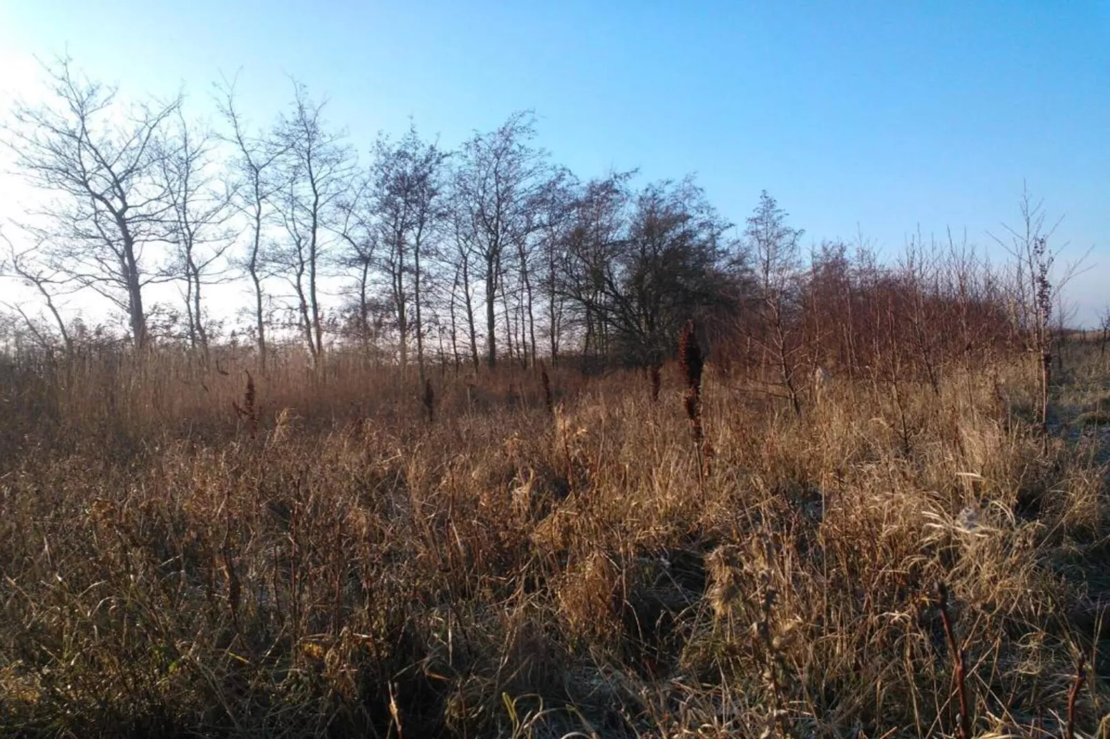Rustig kustparadijs-By Traum-Niet-getagd