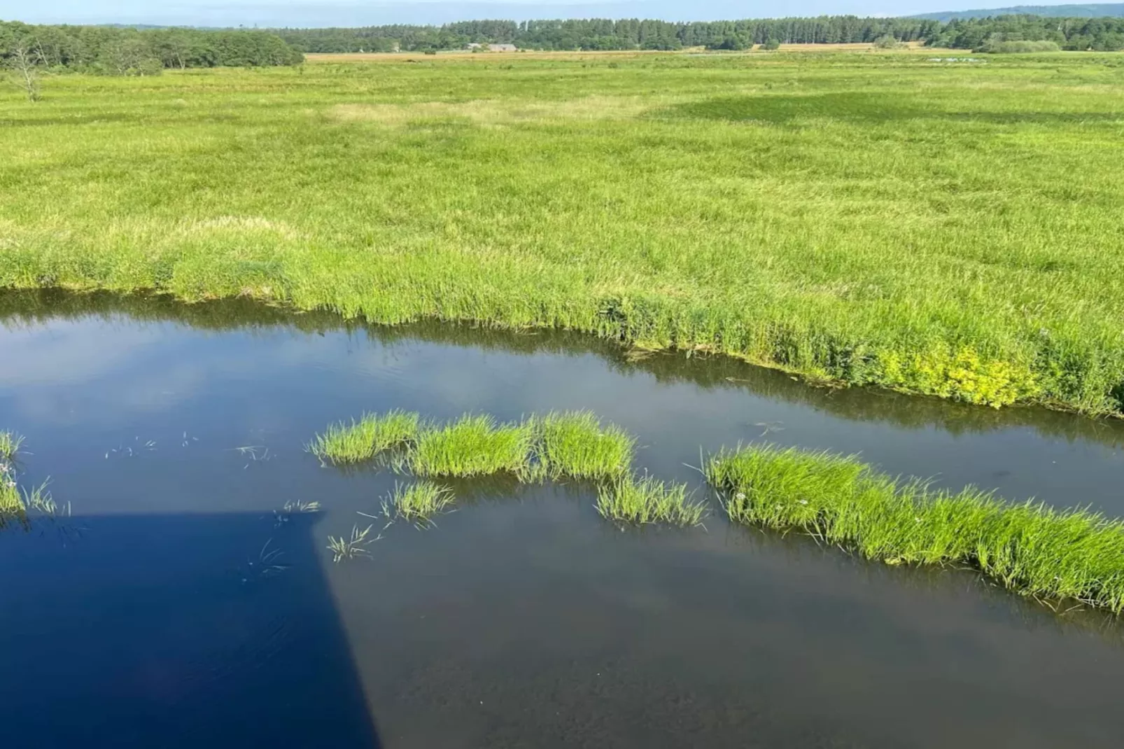 Vakantiehuis aan het meer met bos-Waterzicht
