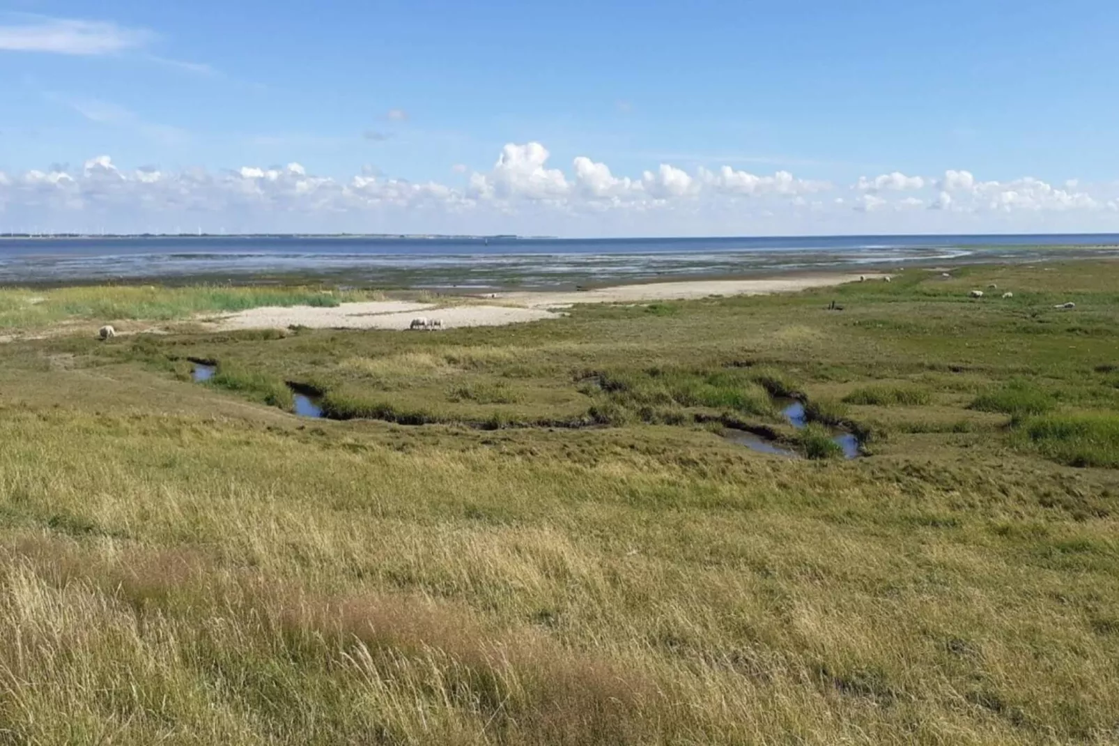 6 persoons vakantie huis in Rømø-By Traum-Waterzicht