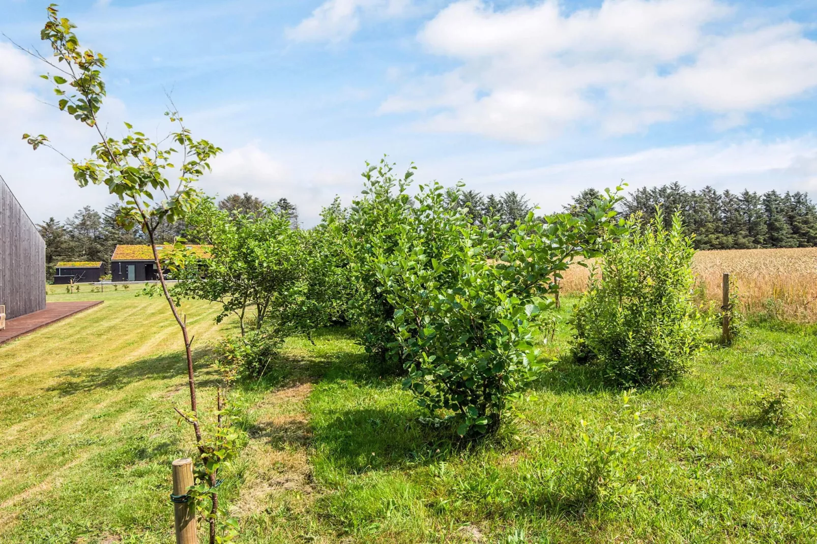 8 persoons vakantie huis in Saltum-By Traum-Uitzicht