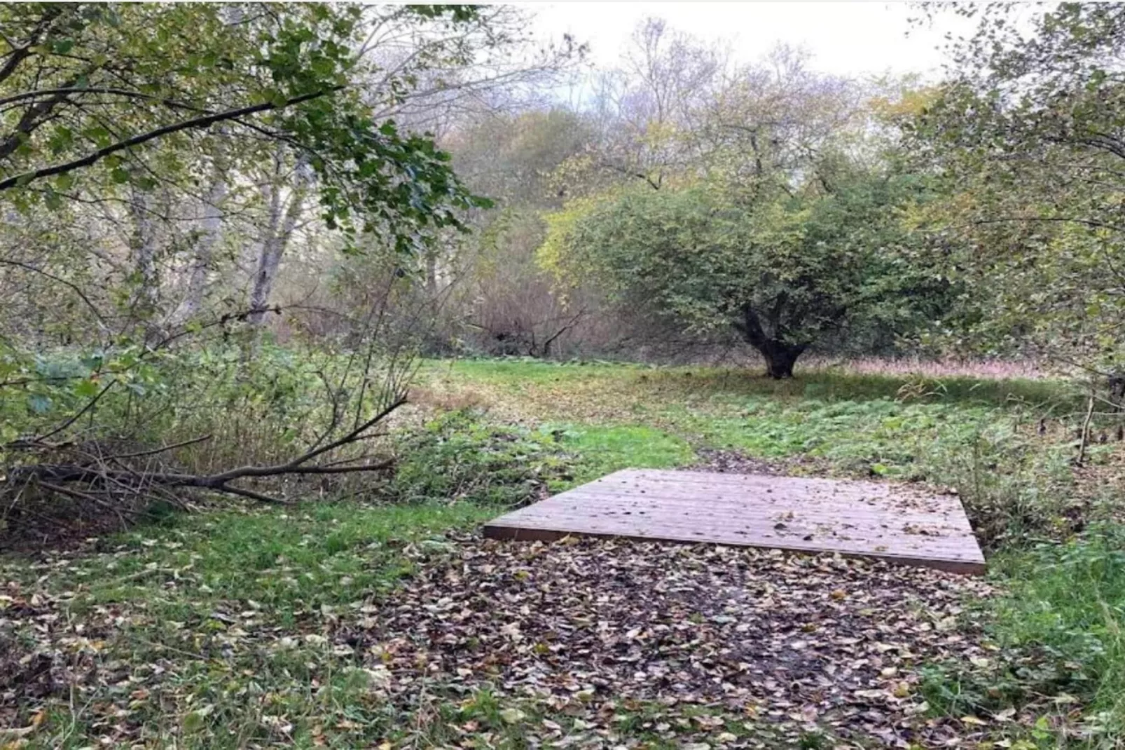 4 persoons vakantie huis in Faxe Ladeplads-Niet-getagd