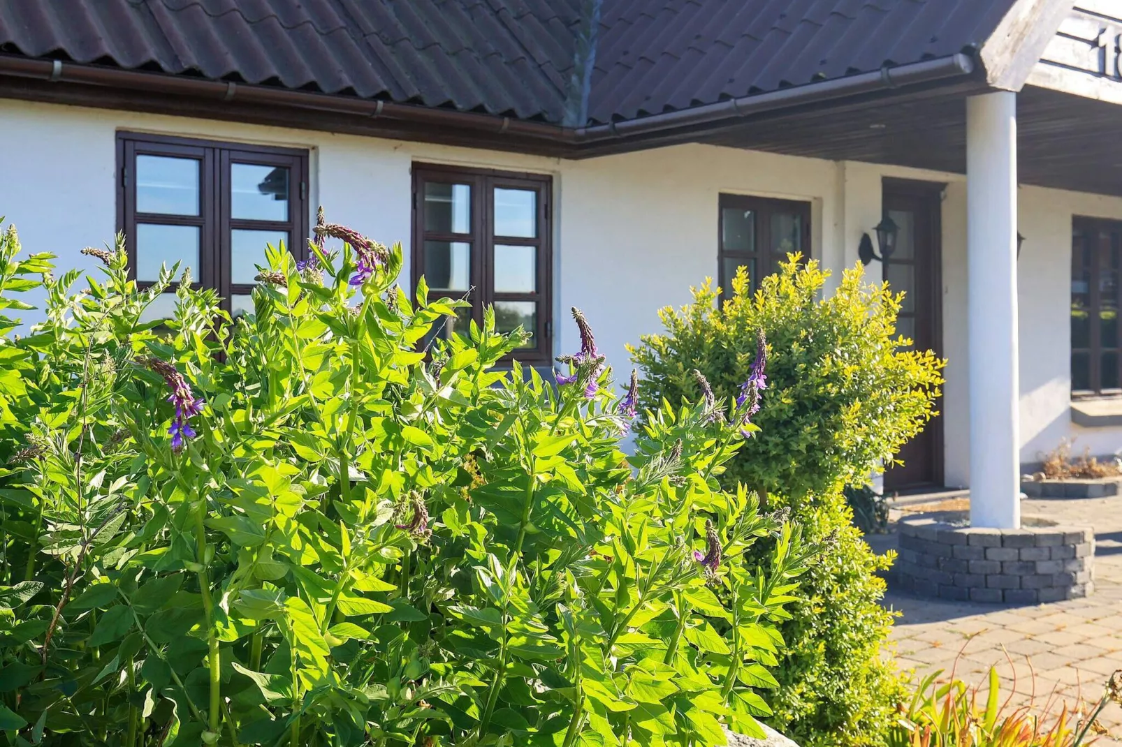 12 persoons vakantie huis in Idestrup-Uitzicht