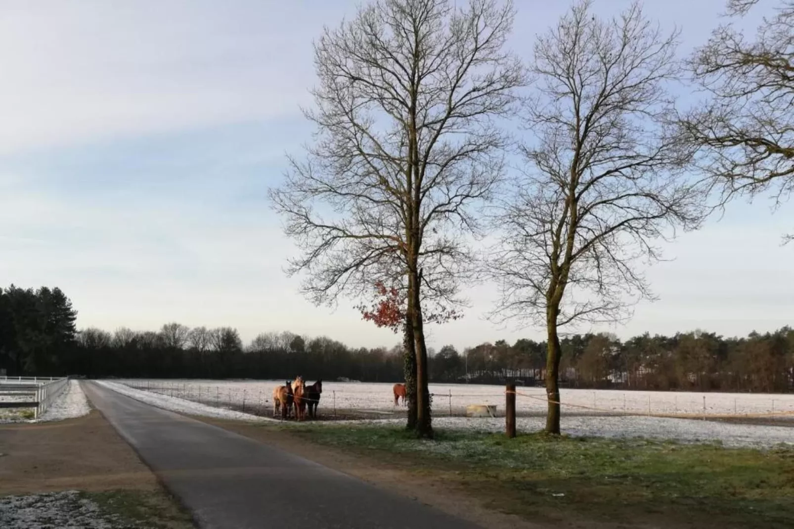 Broville-Gebieden zomer 20km