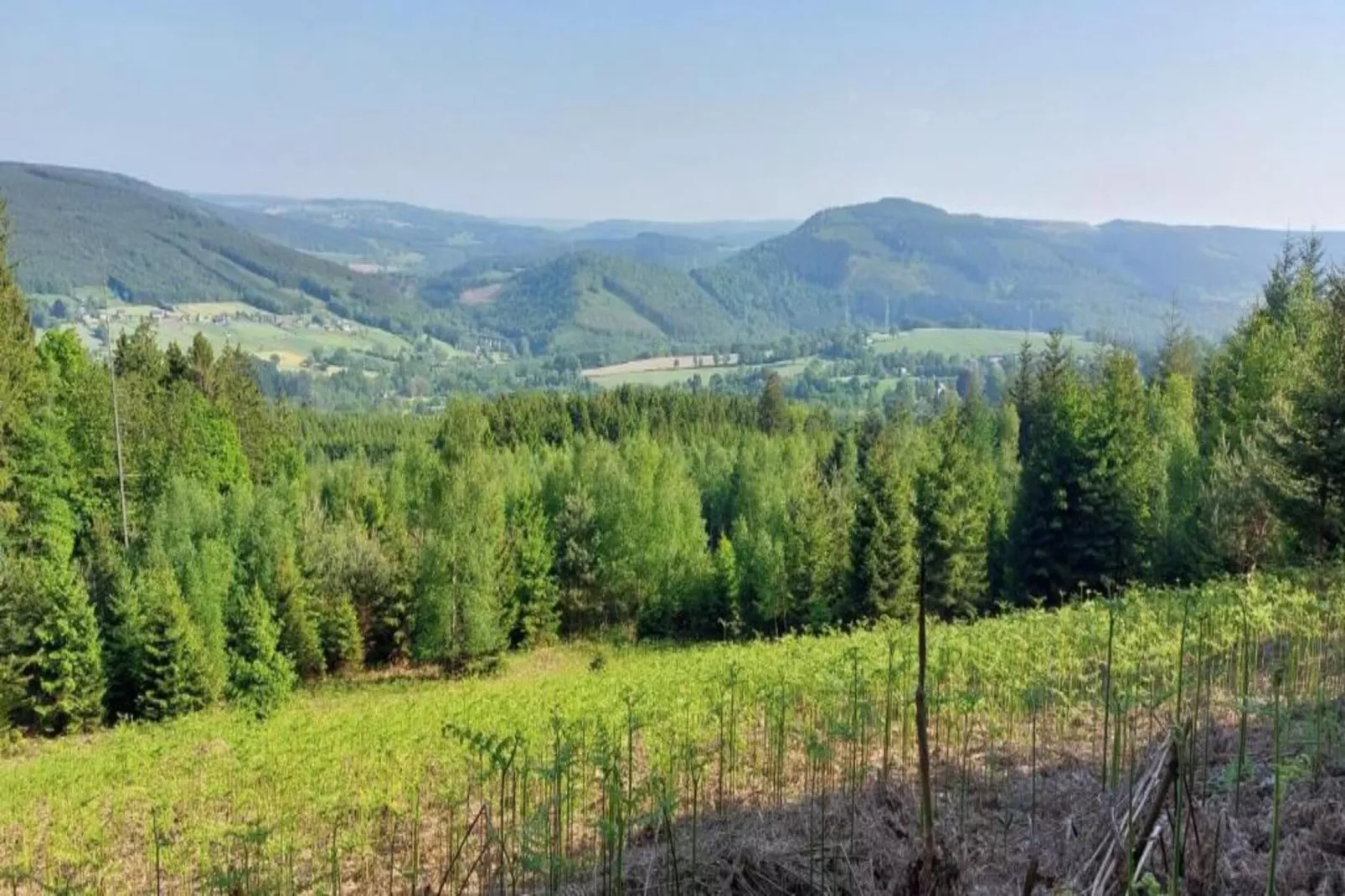 La lavande-Gebieden zomer 20km