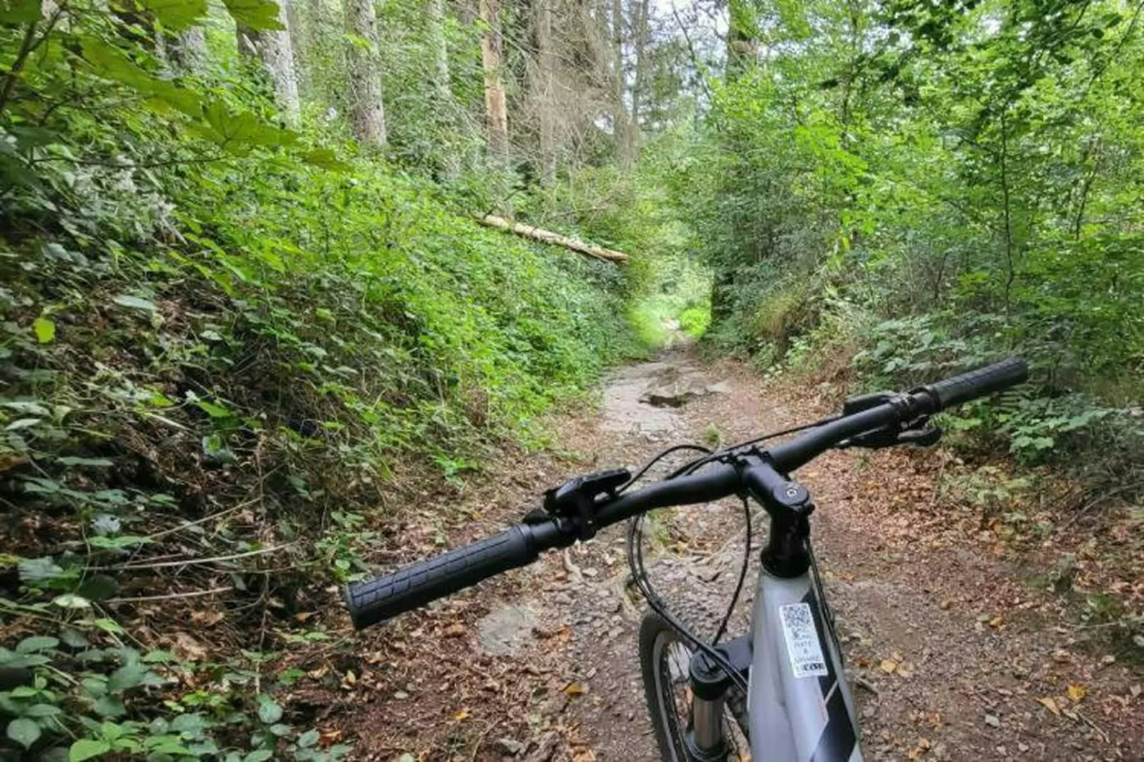 Petit Coin de Paradis-Gebieden zomer 20km