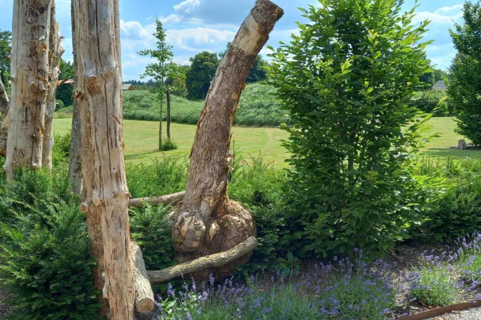 Le Gîte de Jevigné-Gebieden zomer 20km