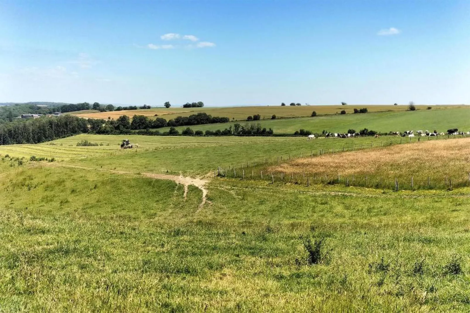 Le Cerf Volant-Gebieden zomer 20km