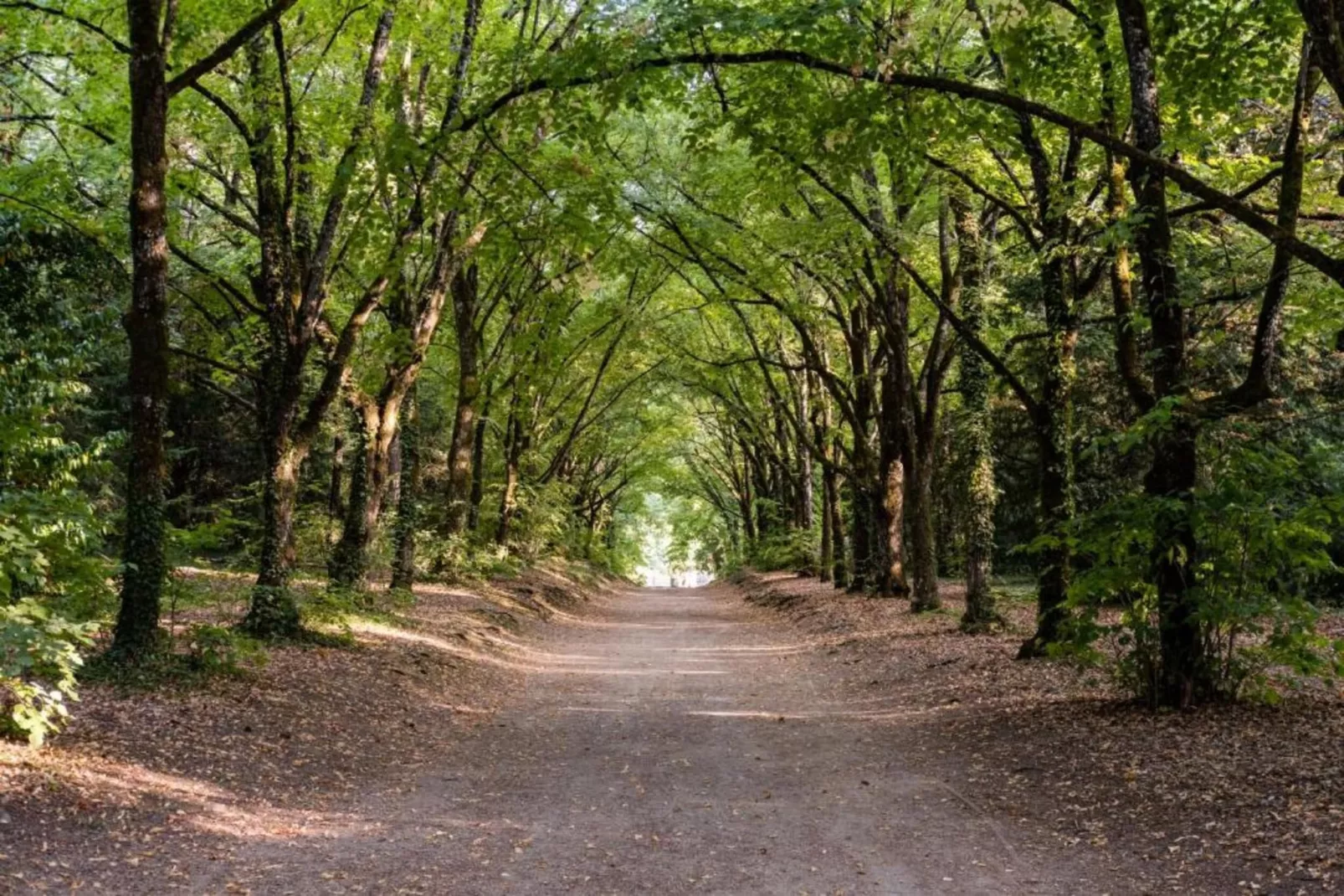 Les Sittelles-Gebieden zomer 20km