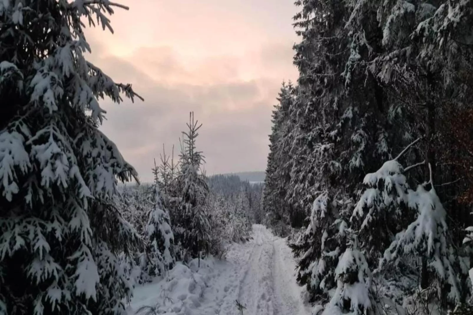 Jardin de l'Ourthe 22-Gebied winter 20km