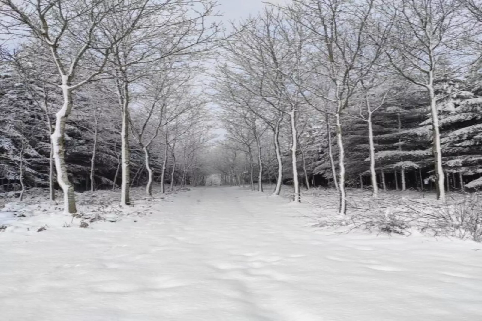 Chez Beau-Gebied winter 20km