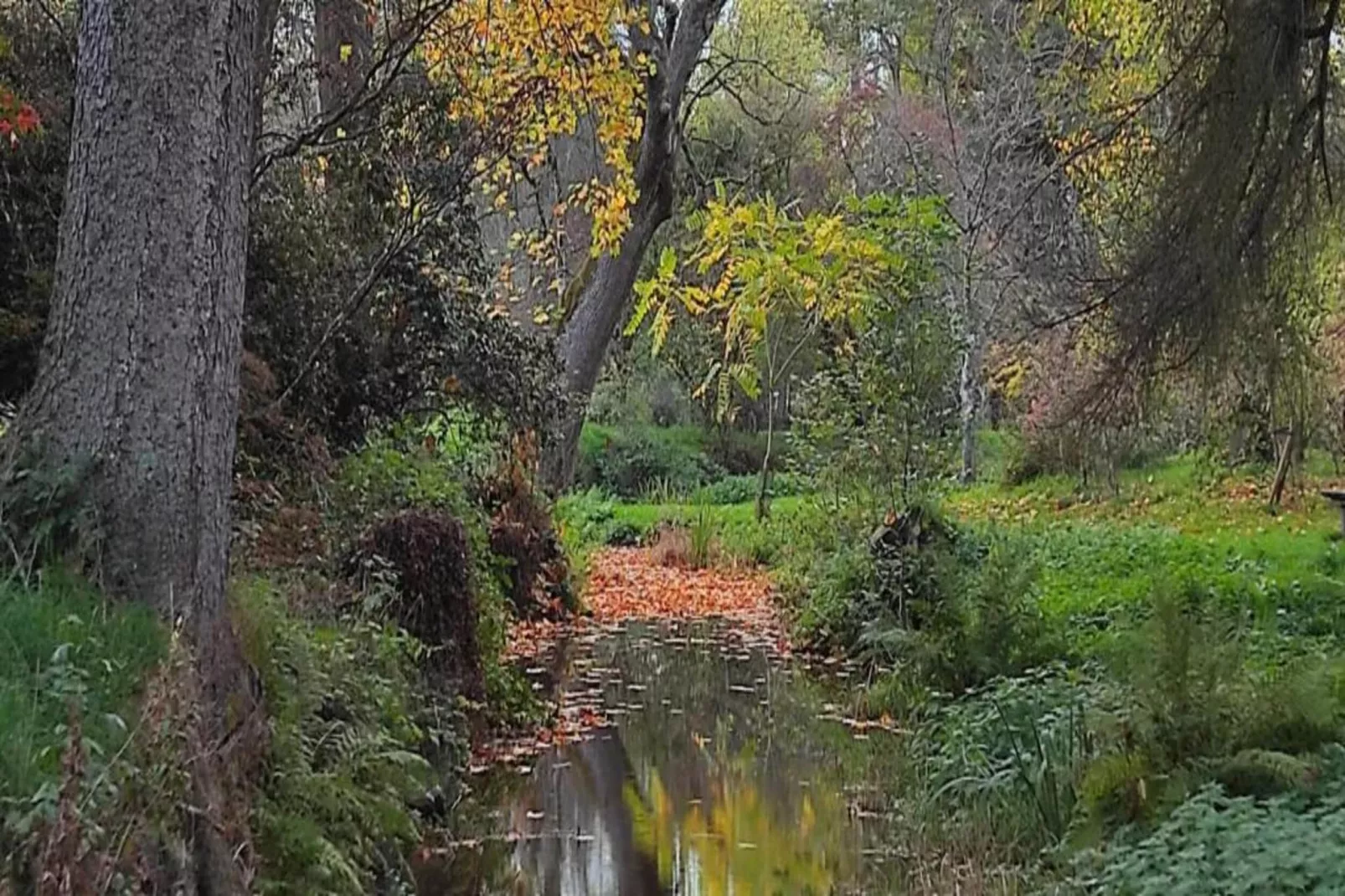 Les Petits Cotteaux-Gebieden zomer 20km