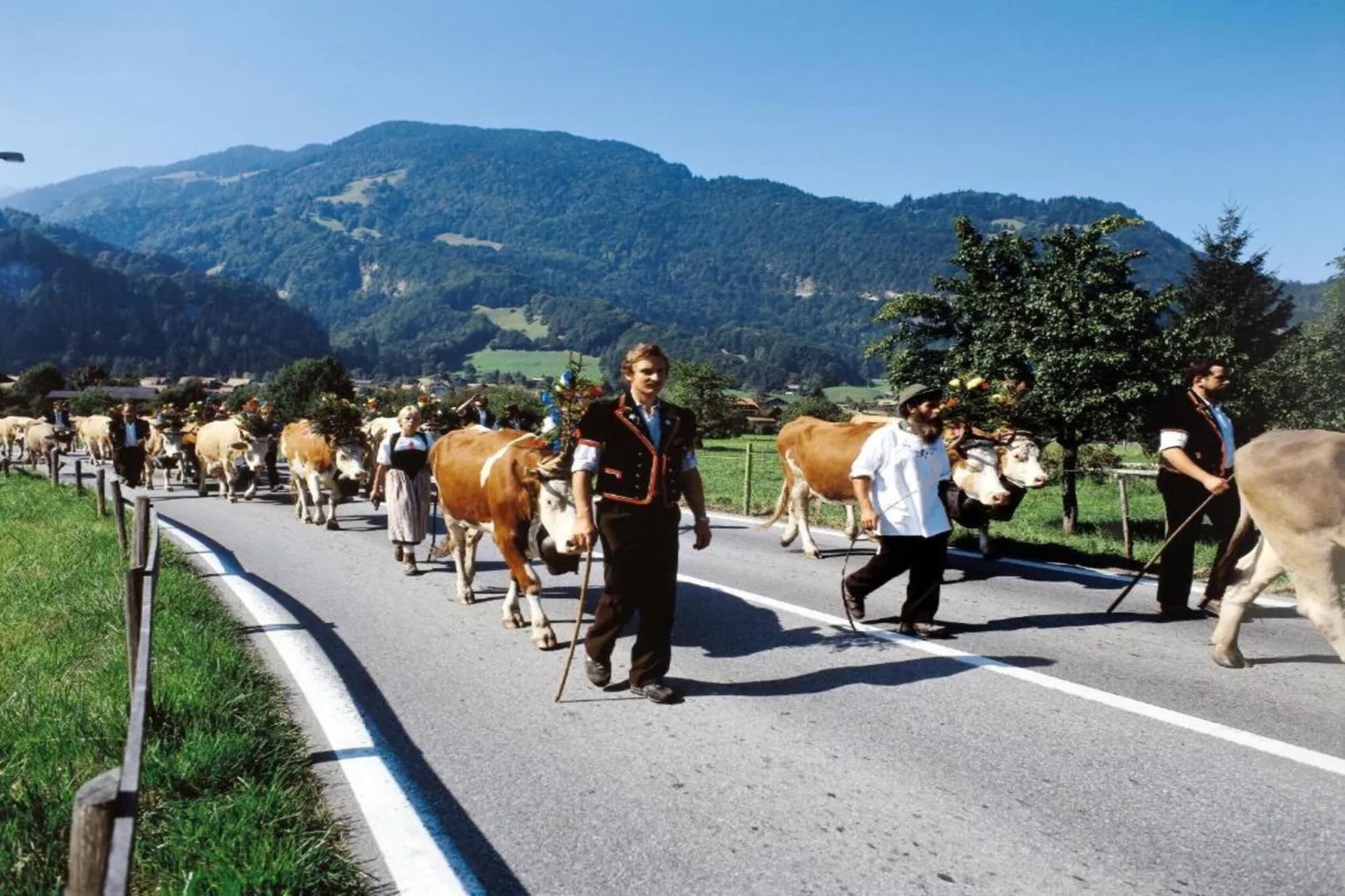 Haus Zumbrunn-Gebieden zomer 20km