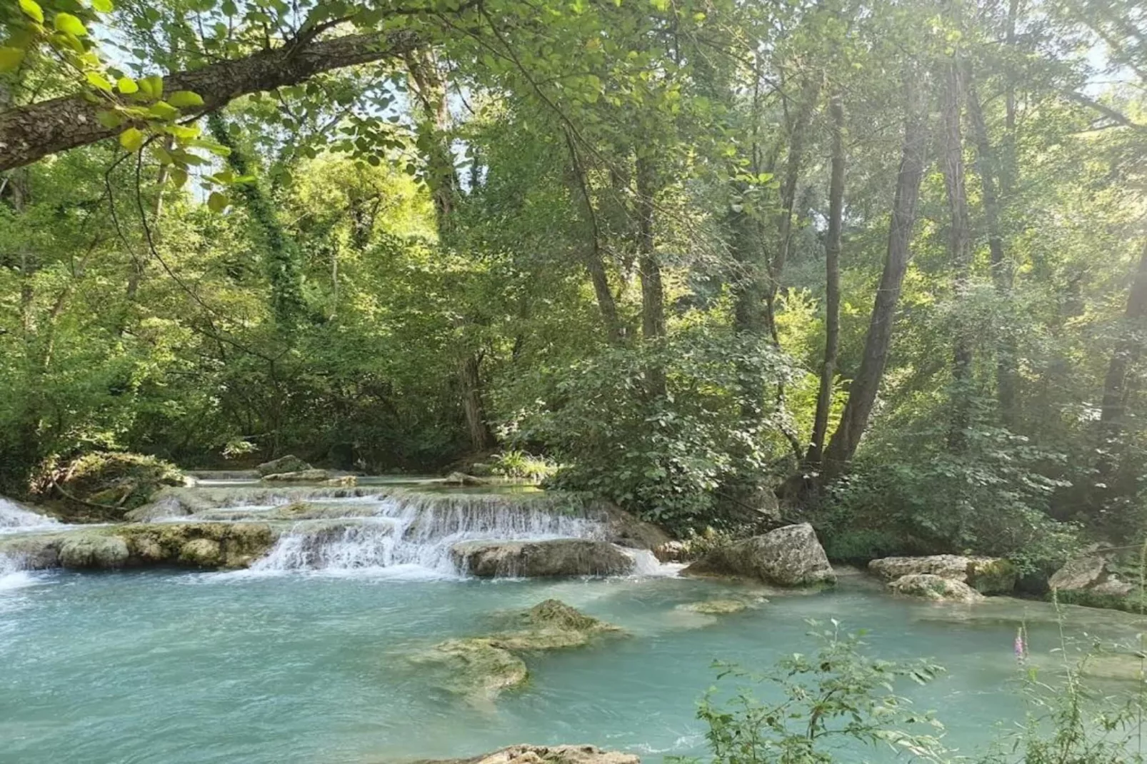 Fara-Gebieden zomer 20km