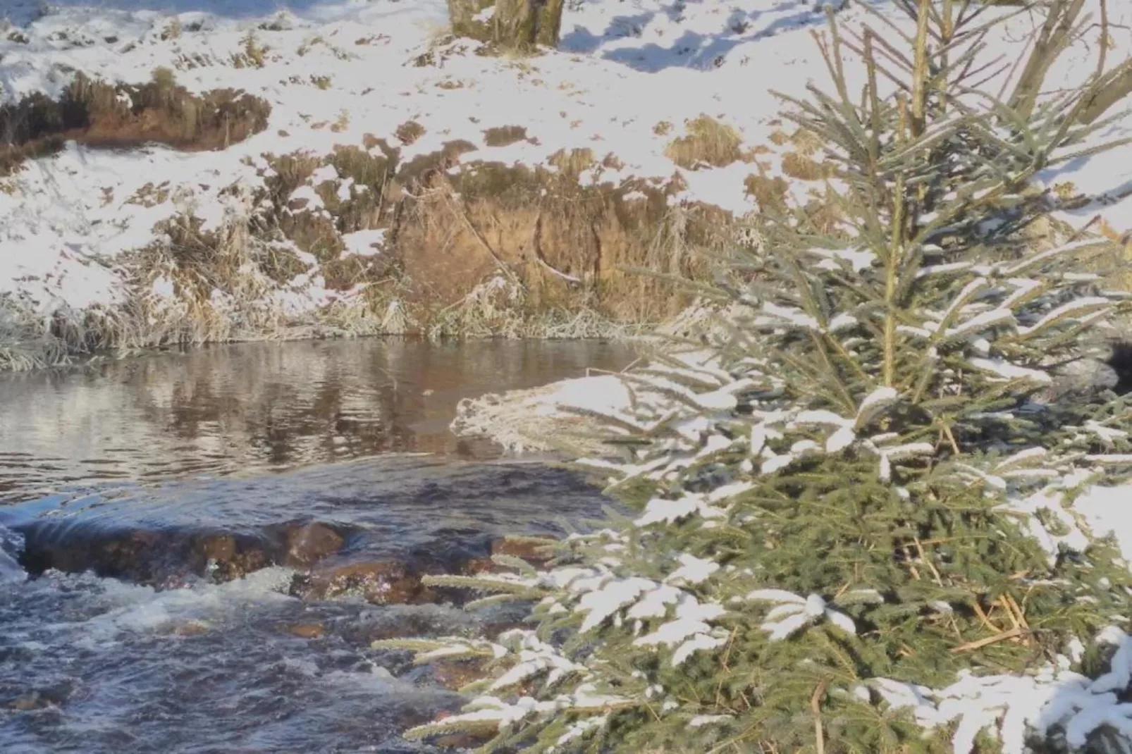 Abertamy-Gebied winter 5km