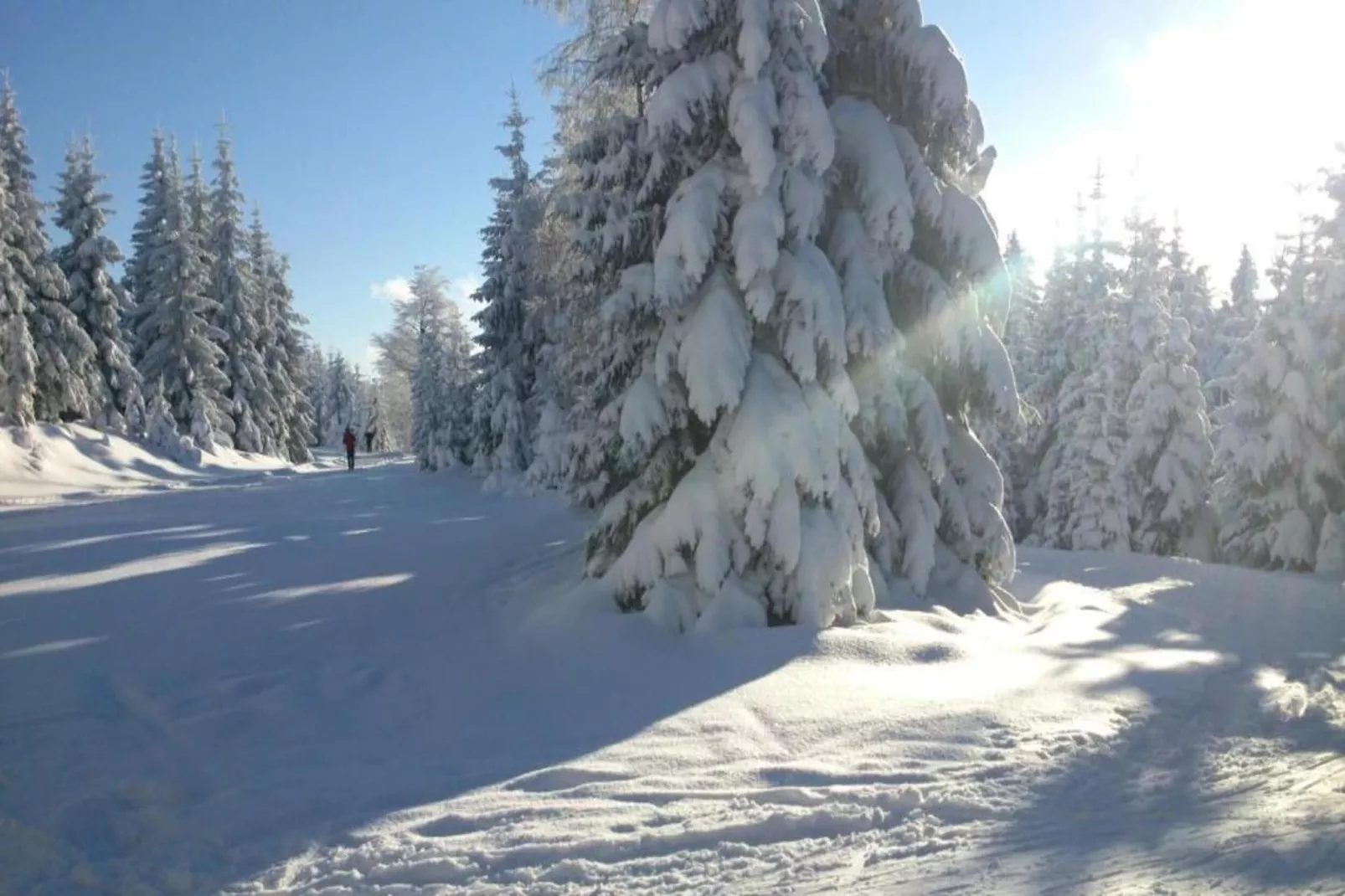 Monika-Gebied winter 5km