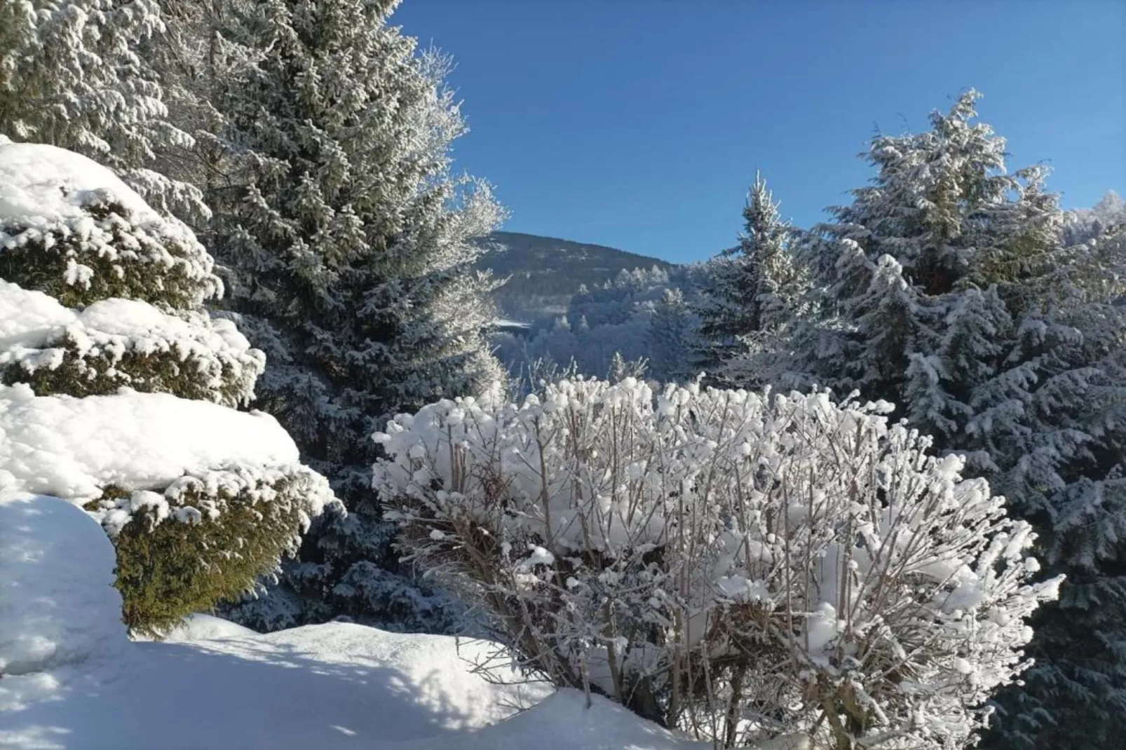 Rokytno-Gebied winter 20km