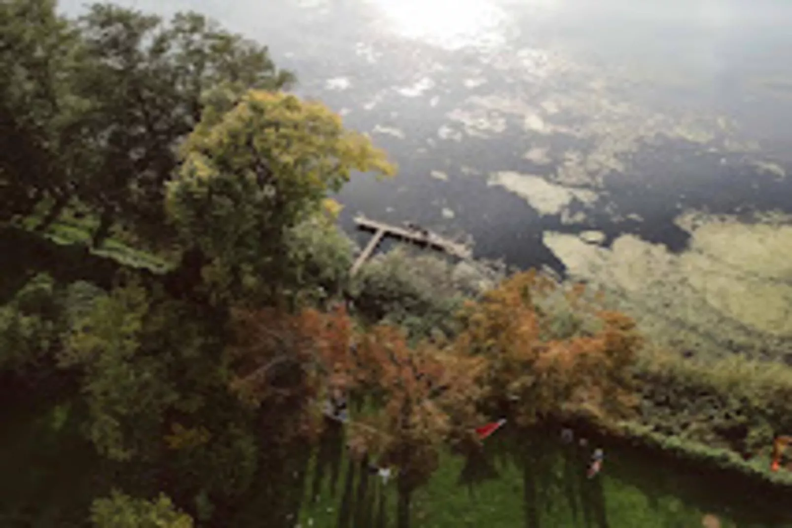 Bungalow 35 qm 2 Pers-Gebieden zomer 5km