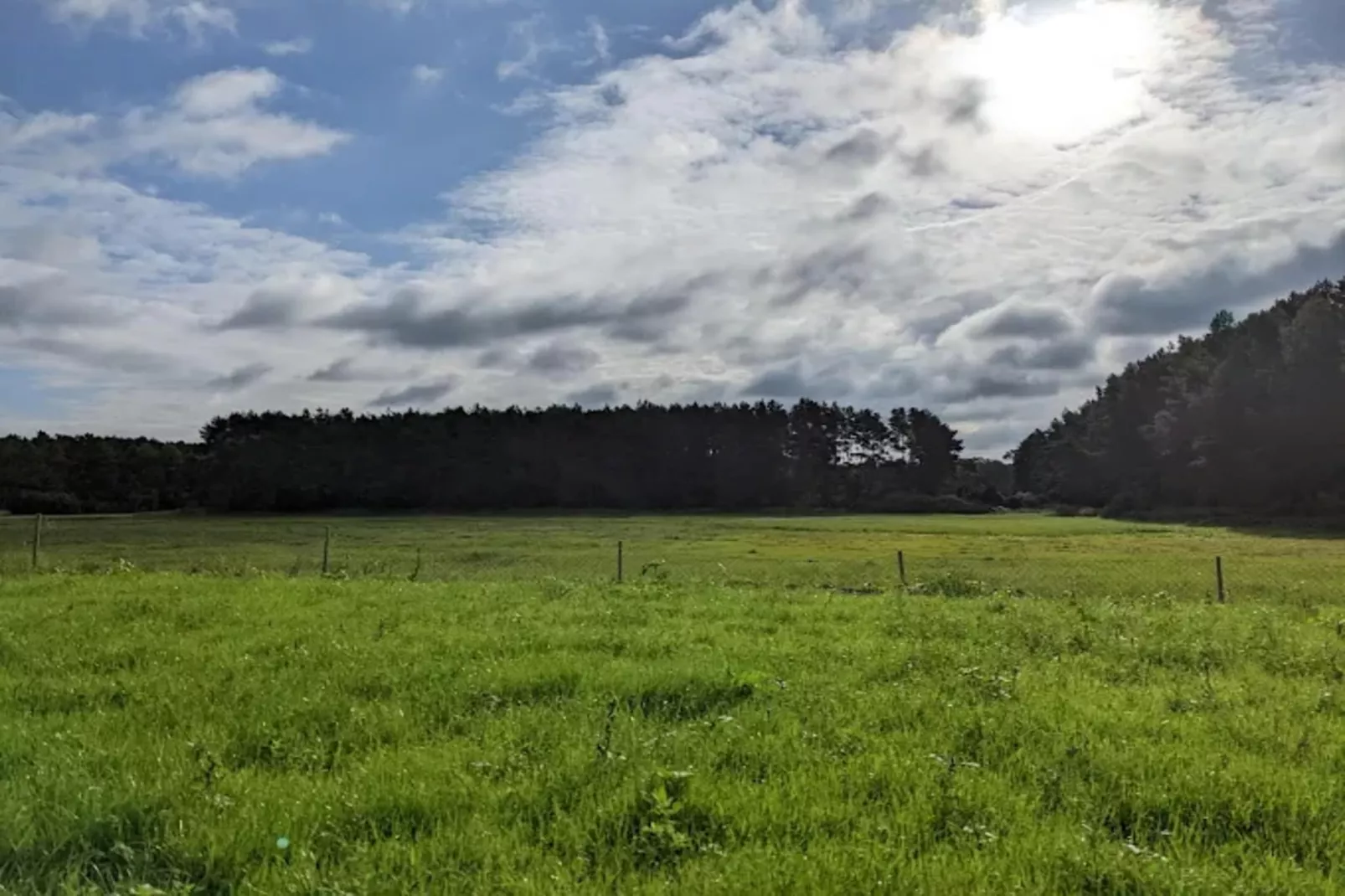 Bungalow 50 qm 5 Pers-Gebieden zomer 5km