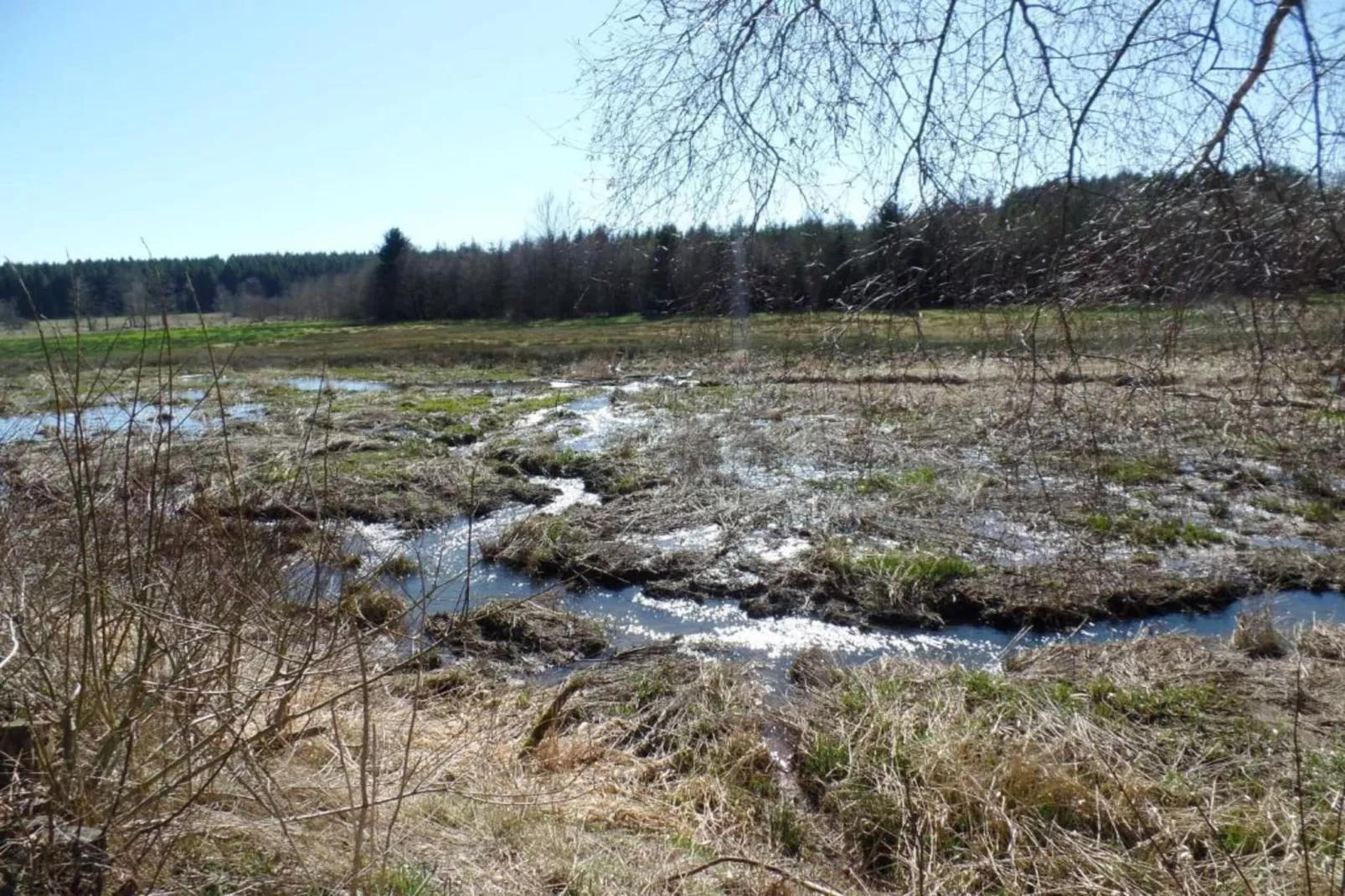 Ferienwohnung Oberstadtfeld Engeln-Gebieden zomer 20km