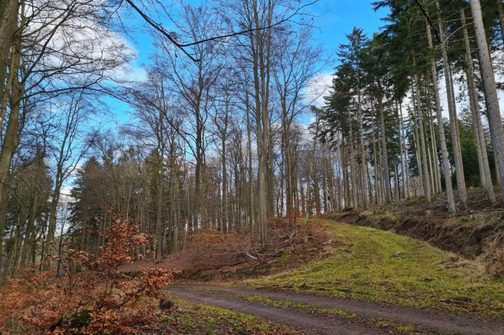 Ferienhaus Steinbach-Hallenberg-Gebieden zomer 20km