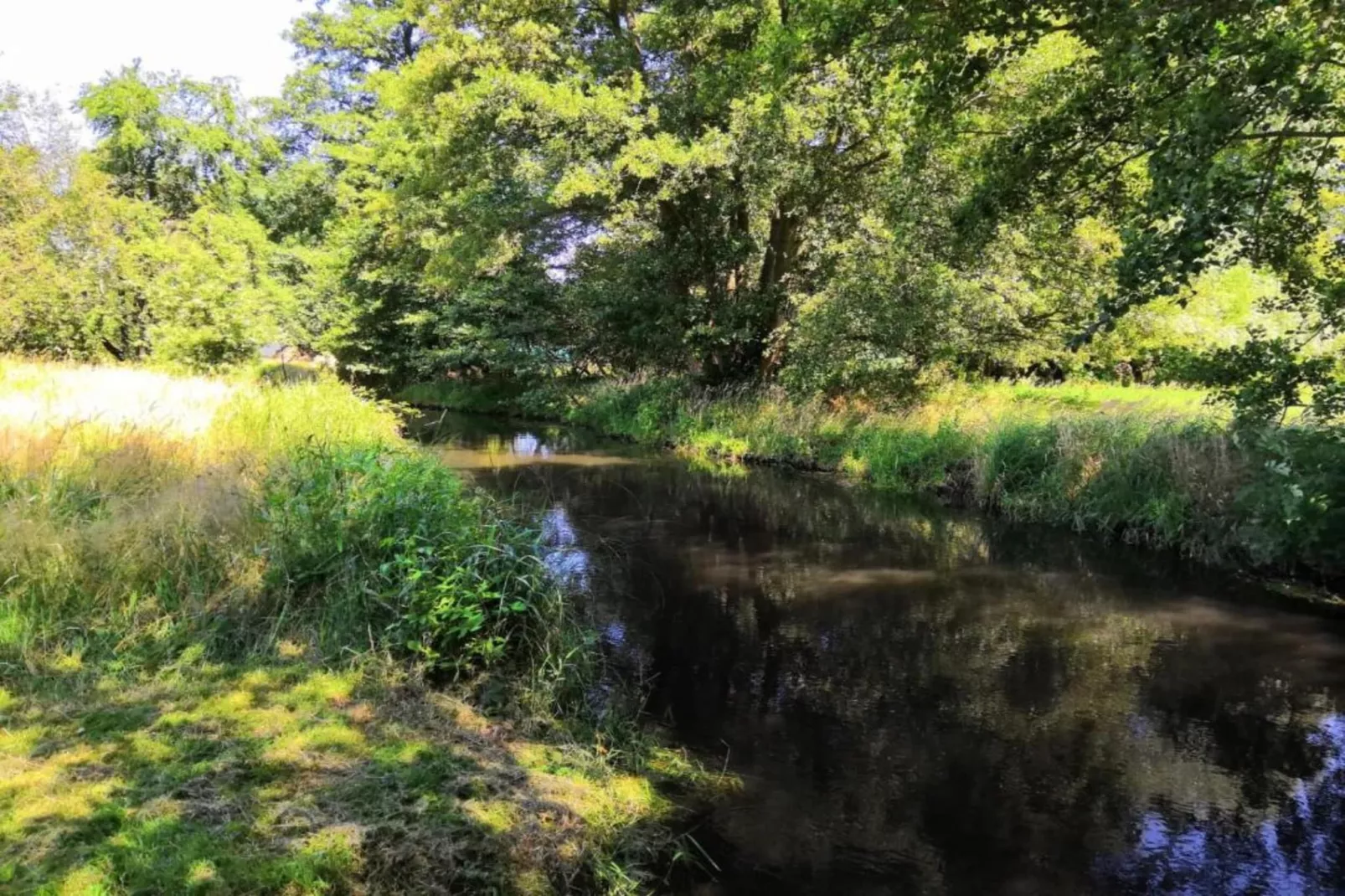 Waldblick-Gebieden zomer 5km