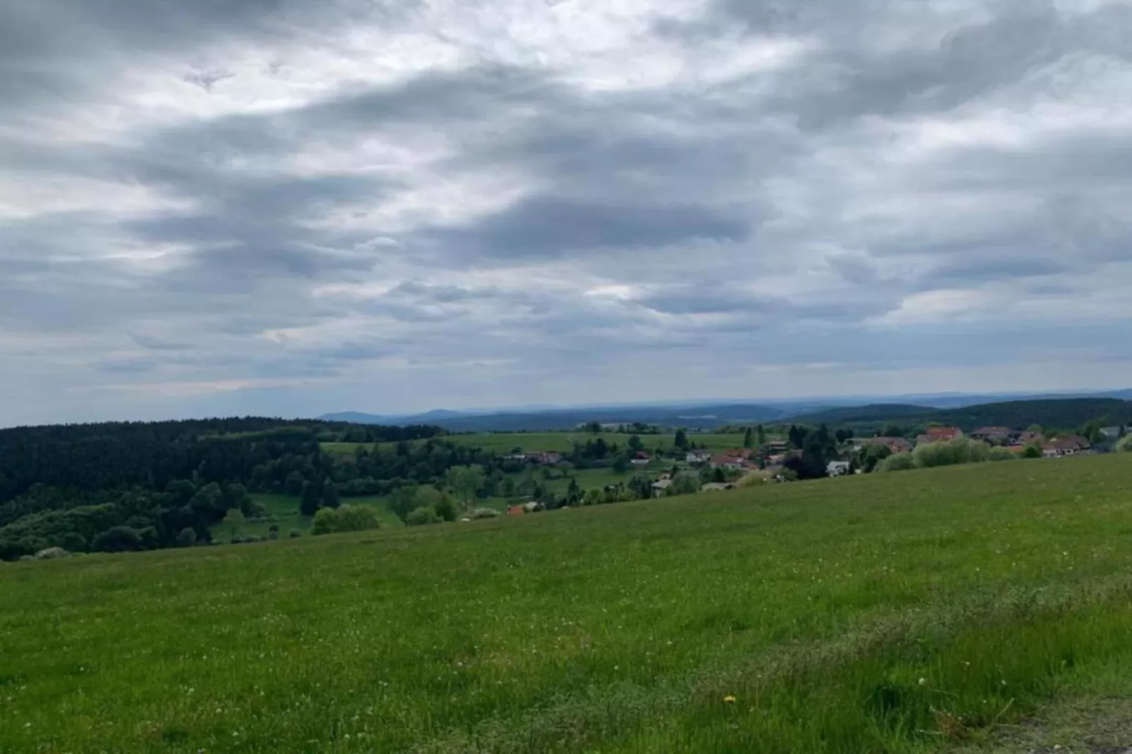 Friedrichshöhe-Gebieden zomer 5km