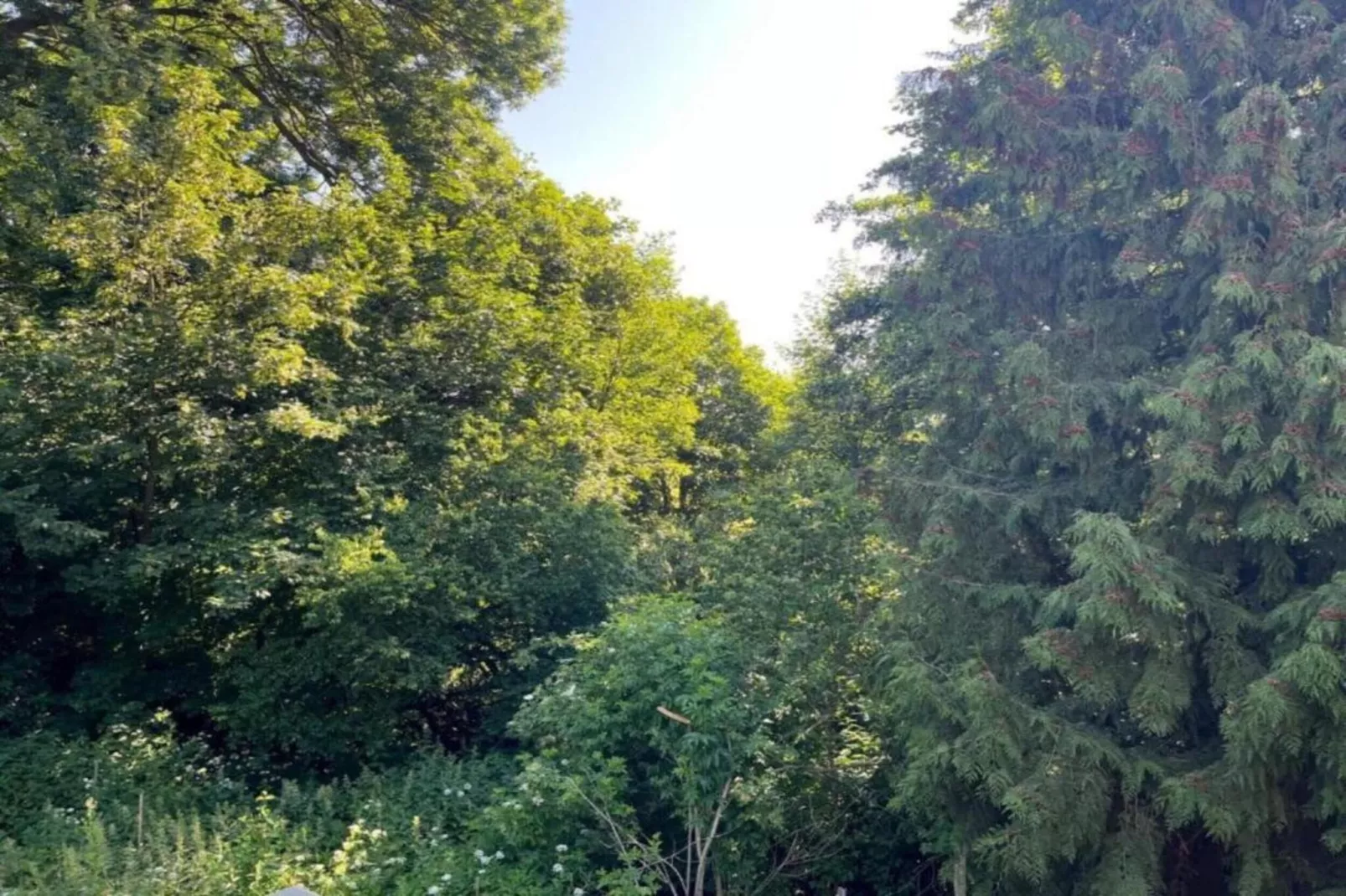 Obermühle-Gebieden zomer 5km