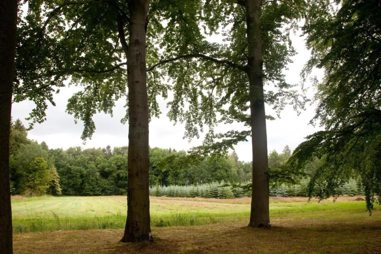 Im Erzgebirge-Gebieden zomer 20km